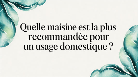 Quelle mandoline cuisine est la plus recommandée pour un usage domestique ?