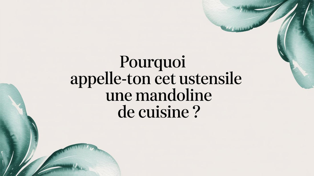 Pourquoi appelle-t-on cet ustensile une mandoline de cuisine ?